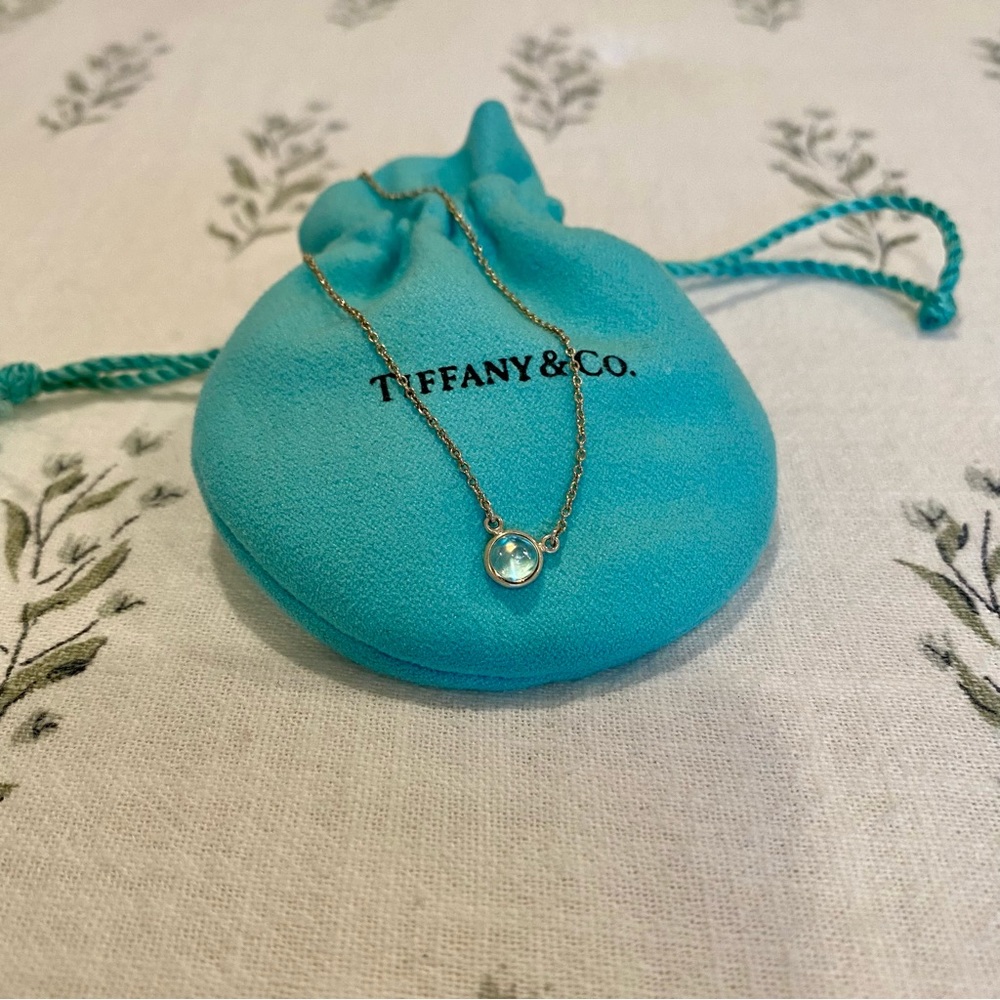 Tiffany & Co. Elsa Perreti Color By The Yard Moonstone Pendant
